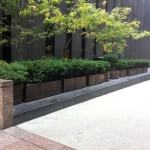IMG_0792 IMG_0792