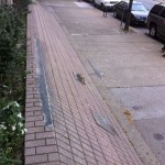 IMG_0872 IMG_0872